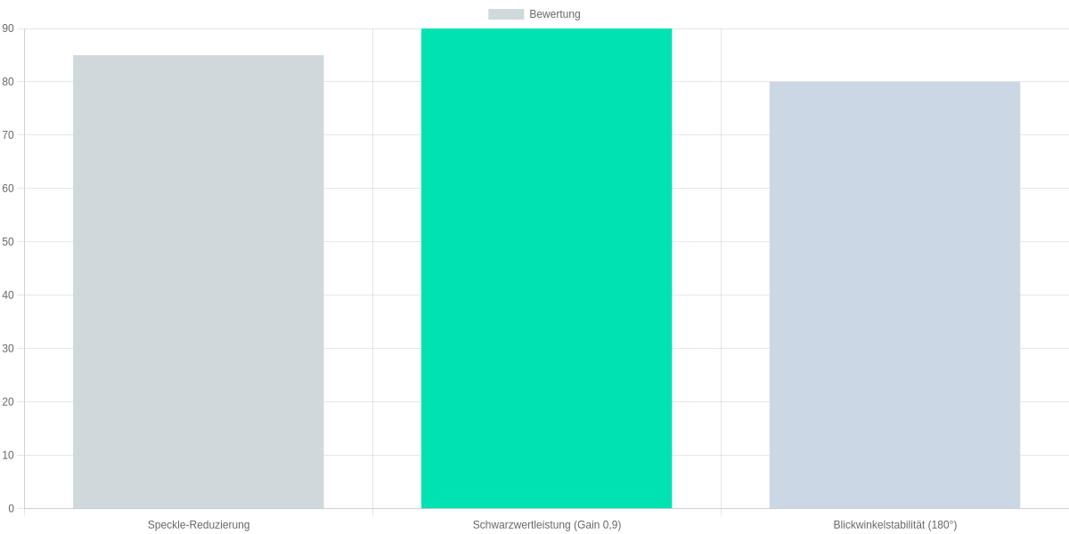 Bildqualität und Leistung der celexon Pearlstone Leinwand